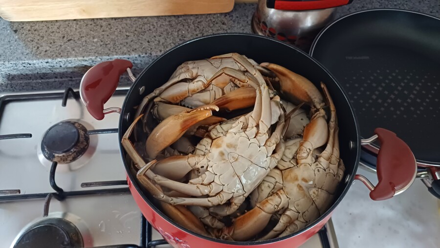 부산 청게_3.jpg