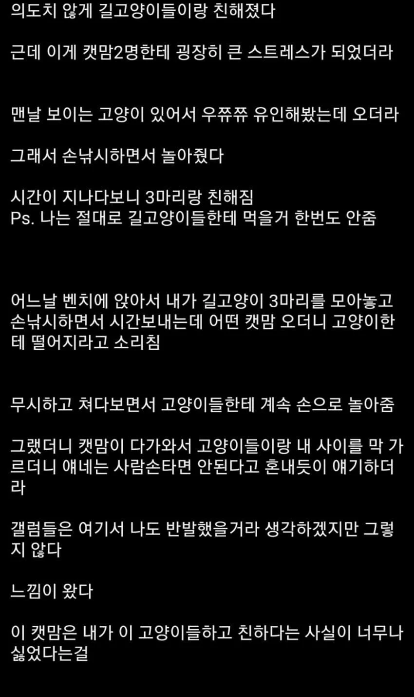 캣맘공략법을 알아낸 사람