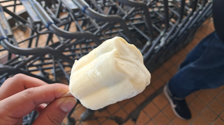 첫 가족 해외여행 4박 5일 홋카이도 2부 (스압, 동영상 주의)_71.jpg