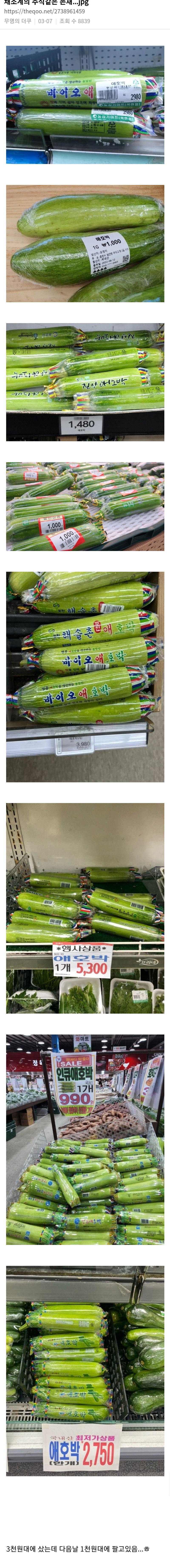 현실 무트코인jpg