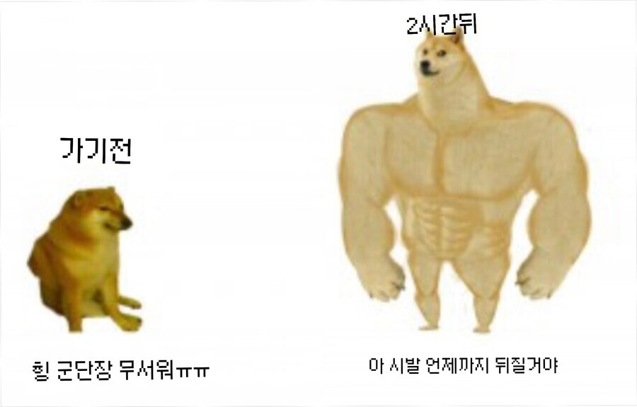 로아) 군단장 트라이팟 요약.JPG_1.jpg
