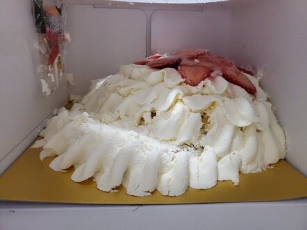 일본 크리스마스 케이크 배송 참사.jpg_4.jpg