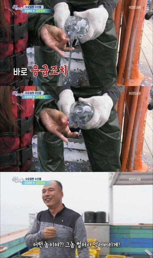 오징어한테 물려서 복수한 리포터.jpg_3.jpg