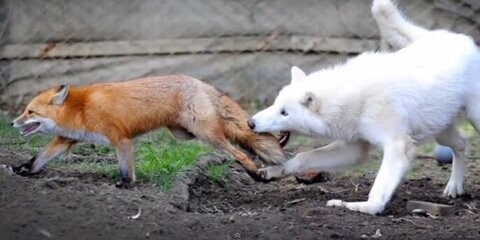 신뢰의 표식_2.jpg