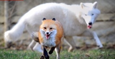 신뢰의 표식_3.jpg