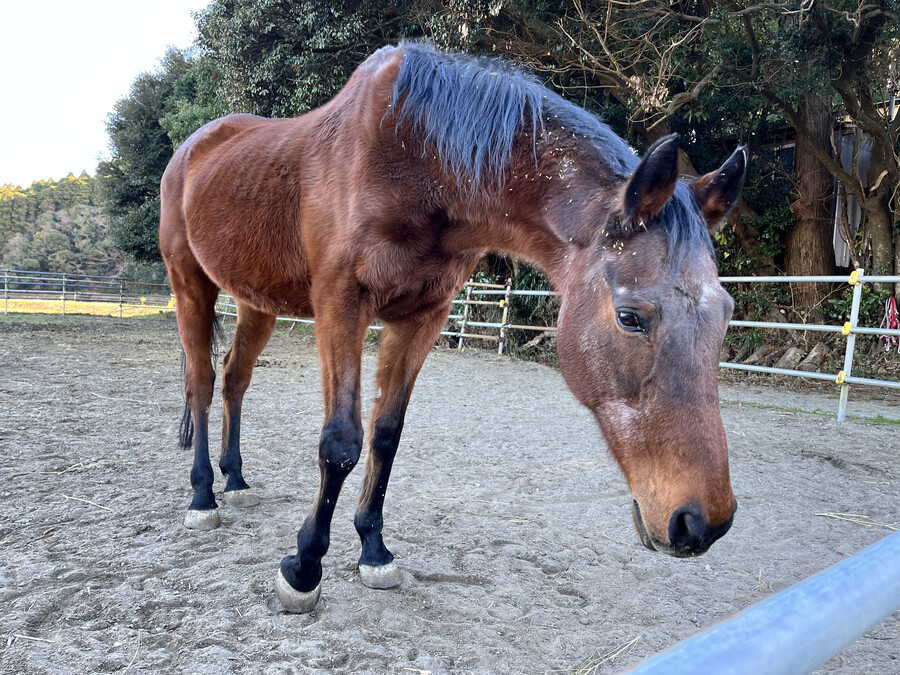 말딸)원본) 하루 우라라 근황_1.jpg