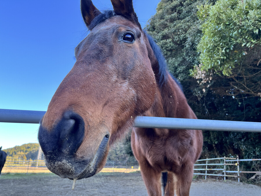 말딸)원본) 하루 우라라 근황_3.jpg