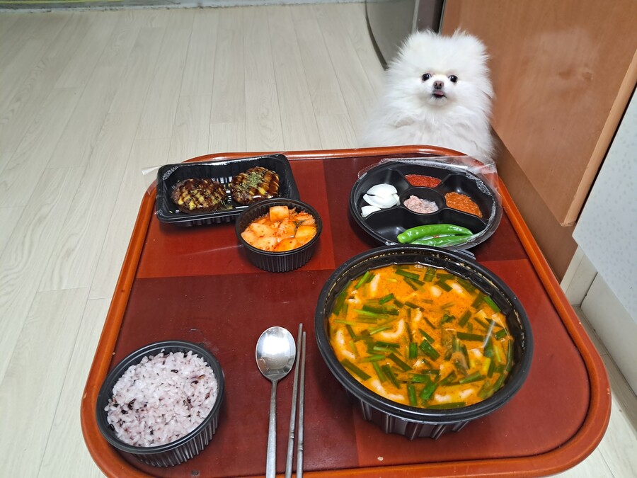 오늘의 해장 | 정치유머 게시판 오늘의 해장 | 정치유머 게시판 | 루리웹