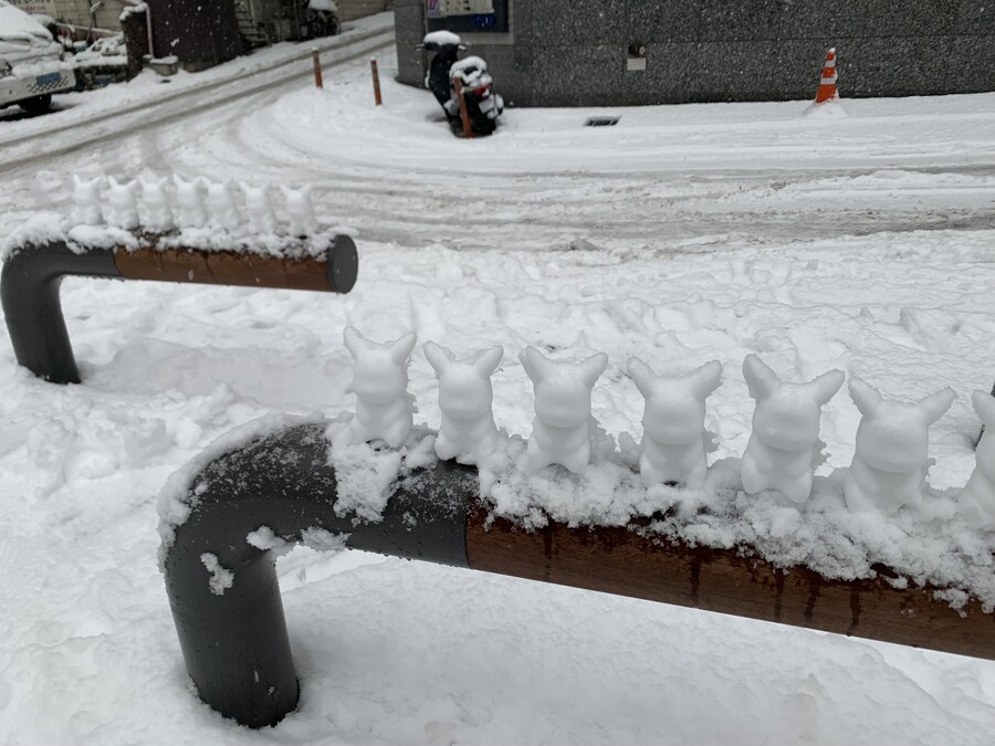 공원 입구를 지키는 늠름한_1.jpg