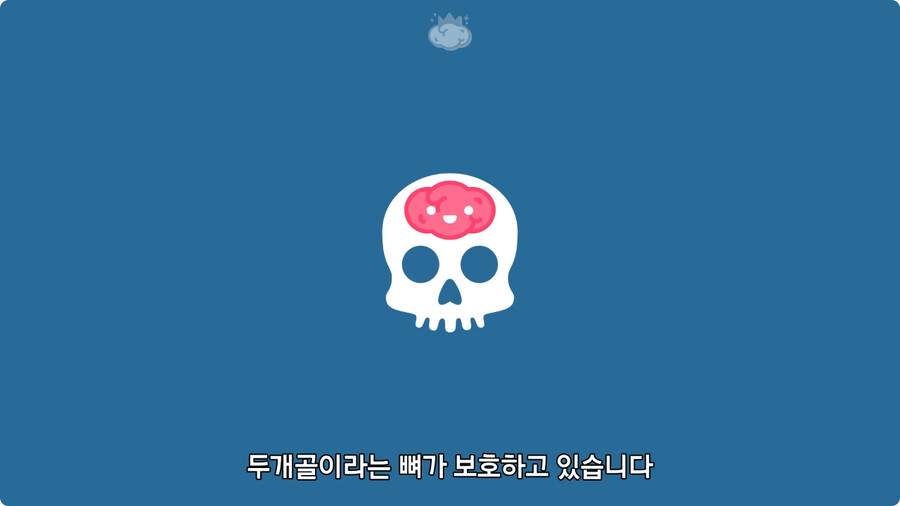 고환을 맞으면 많이 아픈 이유.jpg_2.jpg