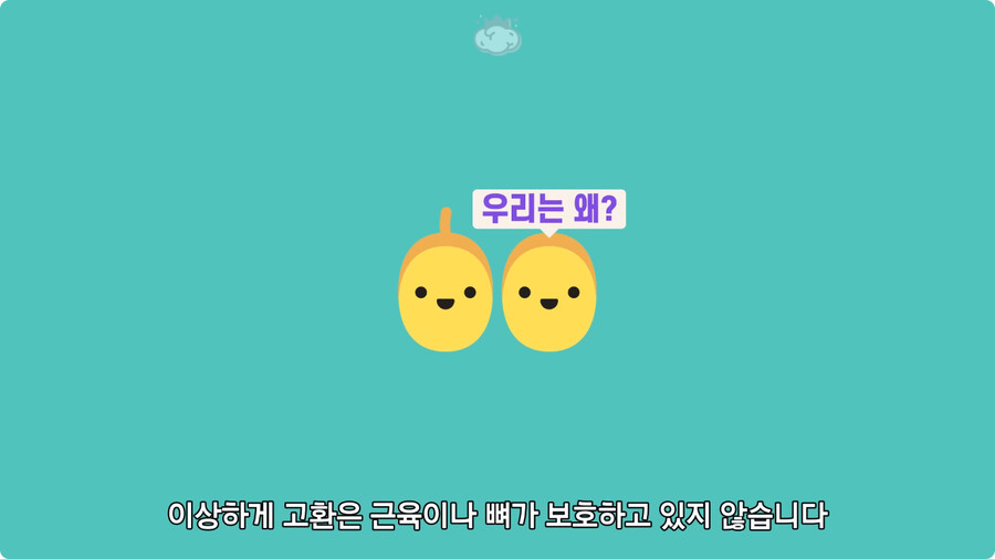 고환을 맞으면 많이 아픈 이유.jpg_6.jpg