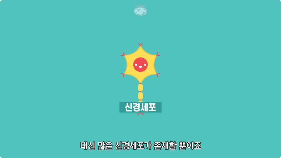 고환을 맞으면 많이 아픈 이유.jpg_7.jpg