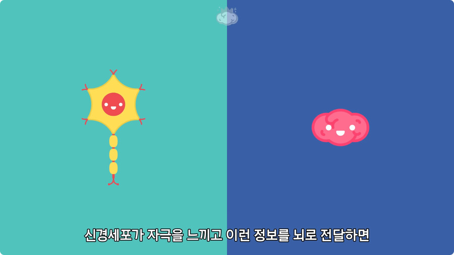 고환을 맞으면 많이 아픈 이유.jpg_8.jpg