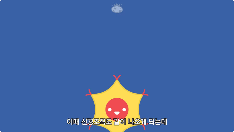 고환을 맞으면 많이 아픈 이유.jpg_15.jpg