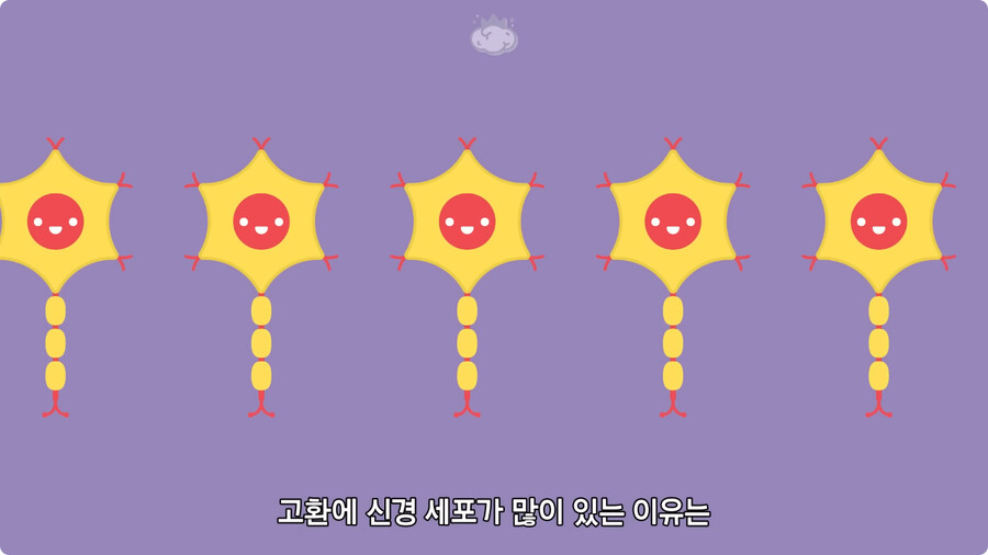 고환을 맞으면 많이 아픈 이유.jpg_32.jpg