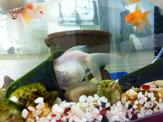 의외로 귀여운 거_3.jpg