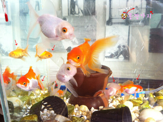 의외로 귀여운 거_4.jpg