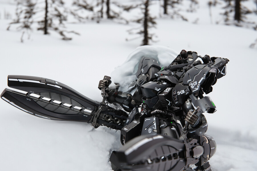 [RG] 무광 흑사자비 무자비_5.jpg