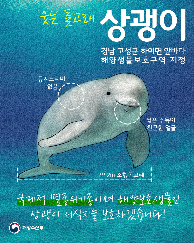 주말인데 출근해서 돌고래짤 달린다_2.png