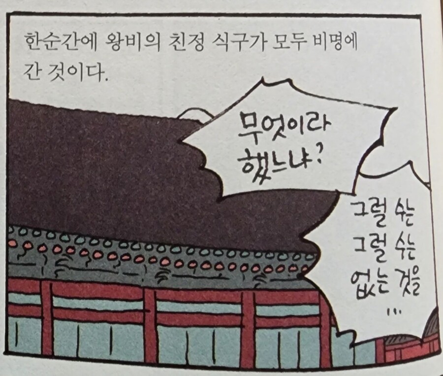 민비의 가족들이 권력을 등에 업고 날뛰지 못한 이유_5.jpg