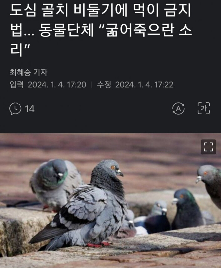 가장 훌륭하게 정착한 외래종.