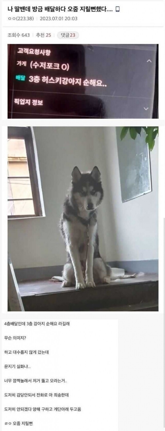 3층 강아지 순해요_1.jpg