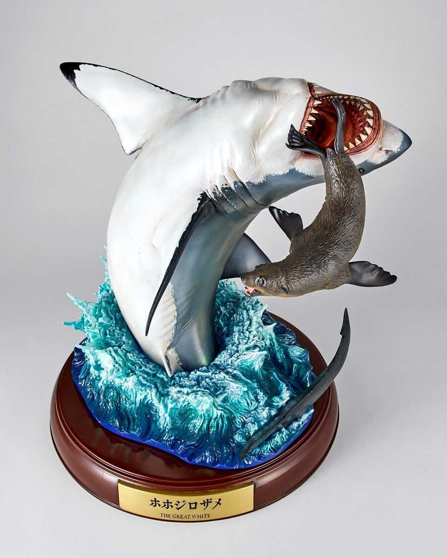 [카이요도] Nature Tales 백상아리_4.jpg