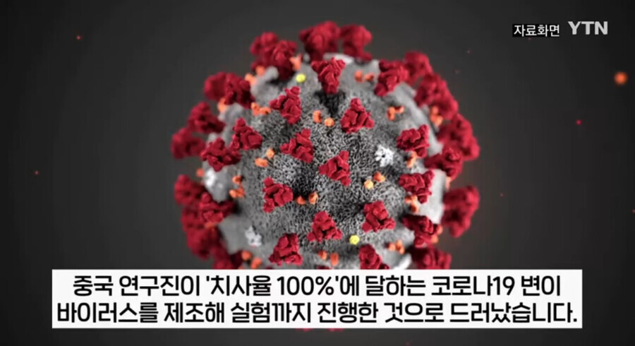 중국] 치사울 100% 바이러스 제조했다!!!! ..제조?_1.png