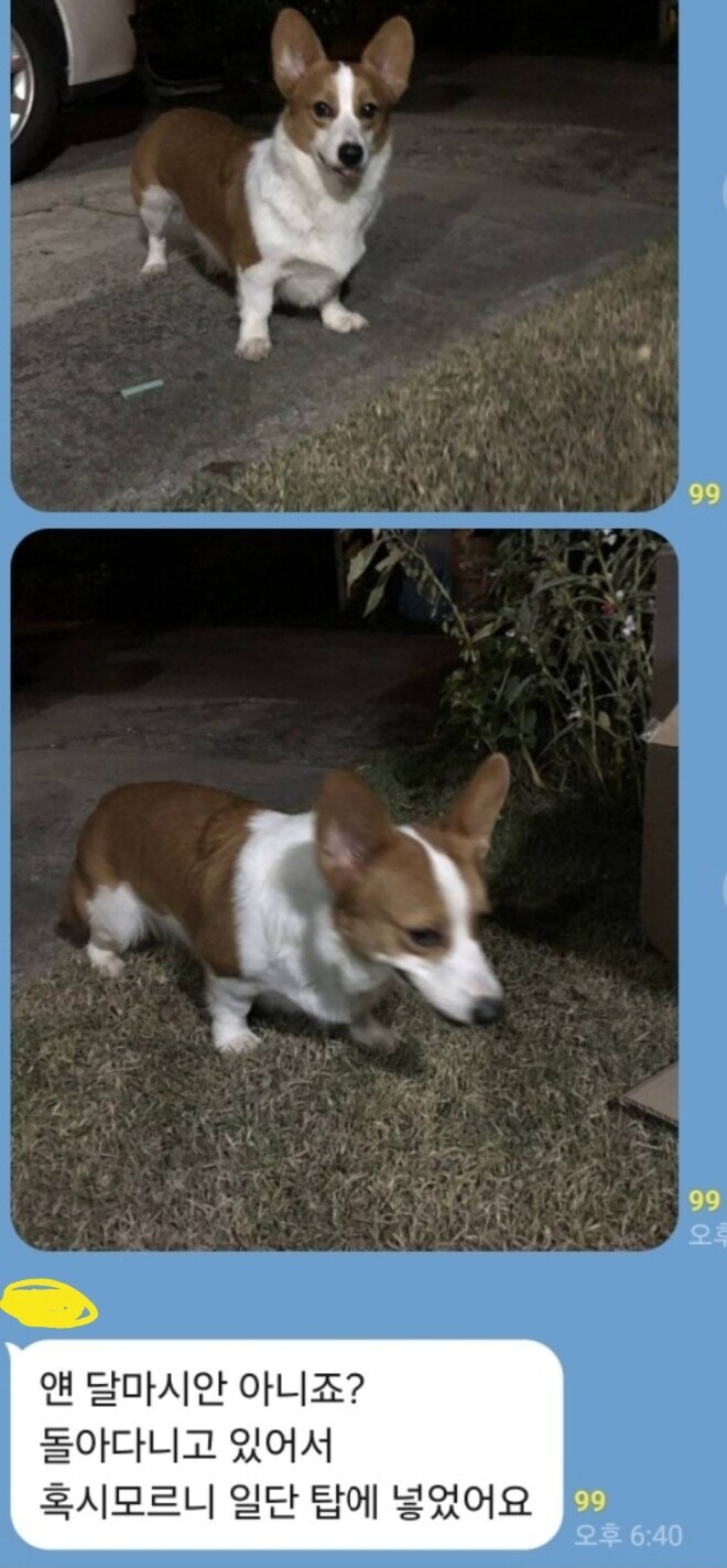 택배기사 대환장파티.jpg_2.jpg