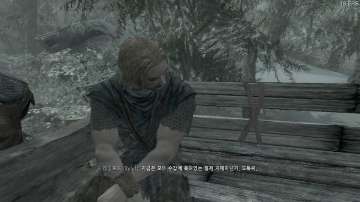 폴아웃76 속 스카이림_4.jpg