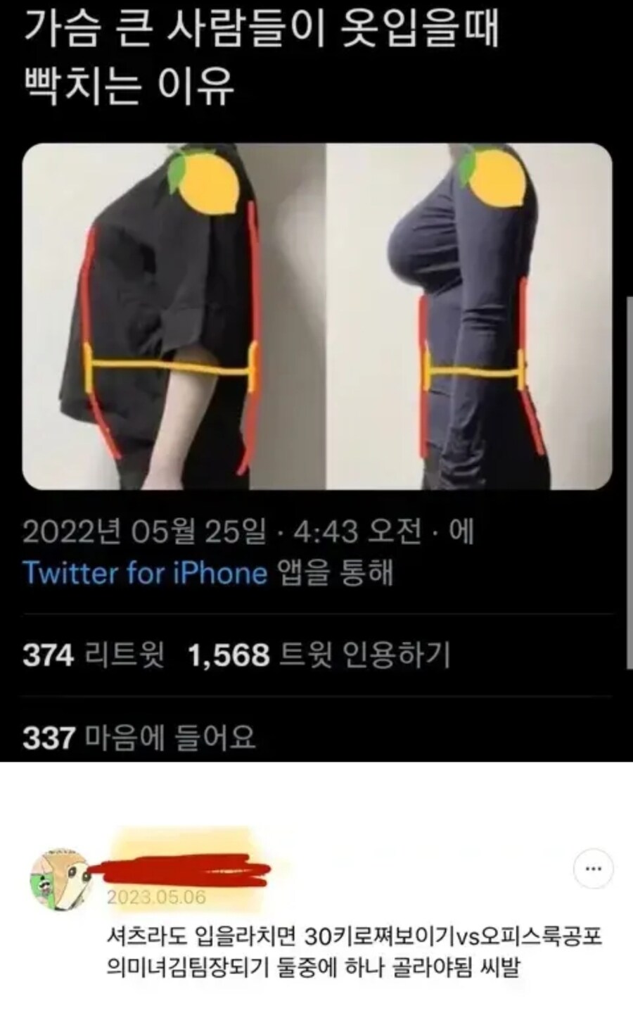 가슴 큰 사람들이 옷 입을 때 빡치는 이유.jpg_1.jpg