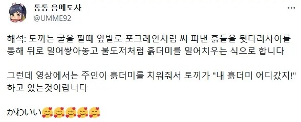 굴 파던 토끼가 당황한 이유.mp4_3.jpg