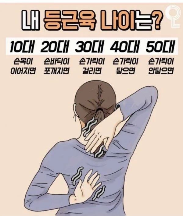 등근육 나이는?_1.webp