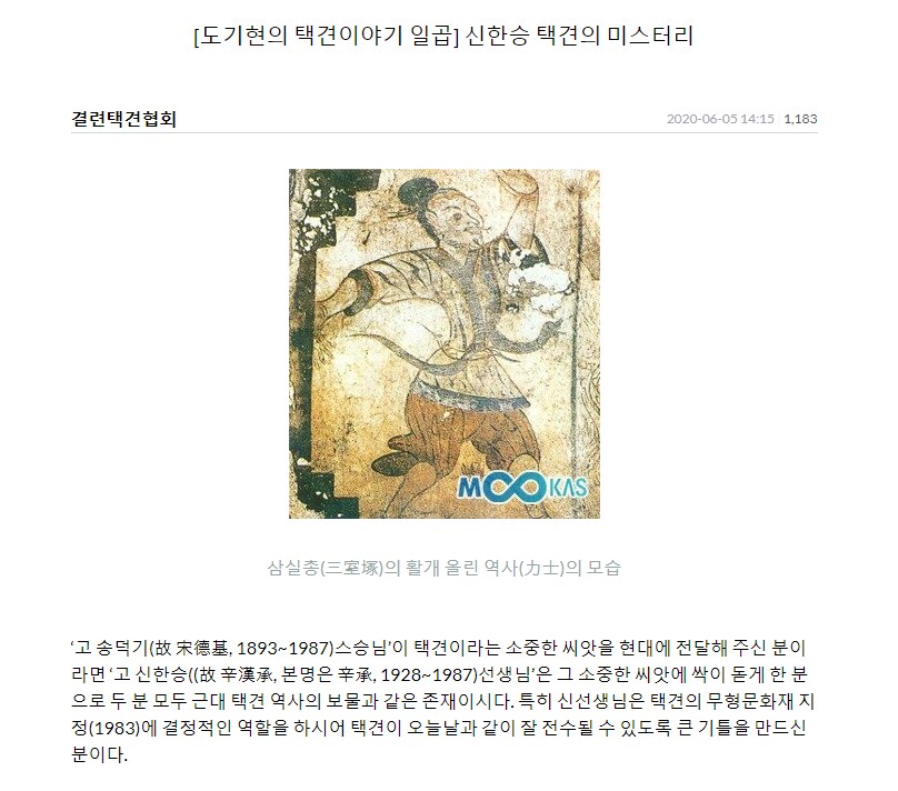 [데이터주의/스압]오싹오싹 택견 시리즈 - 제 1회 택견 경기와 실종된 활갯짓 -_9.png