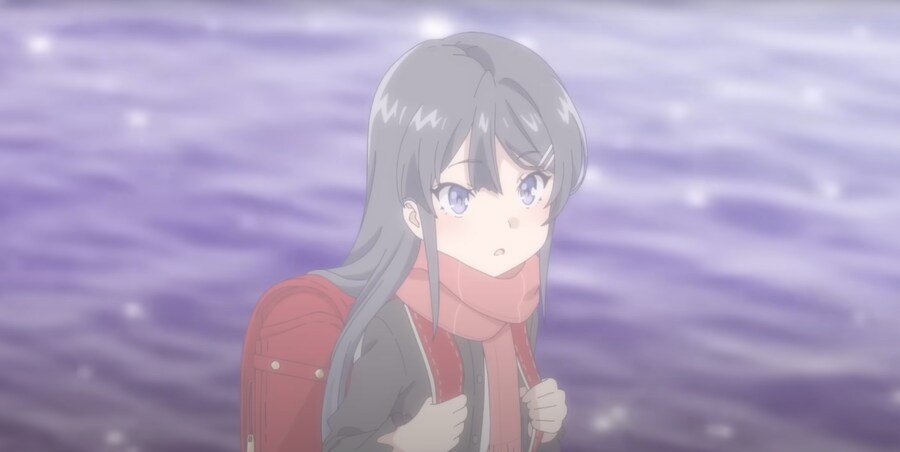 청춘 돼지는 책가방 소녀의 꿈을 꾸지 않는다, 본연의 장점을 지운 모호함_1.png