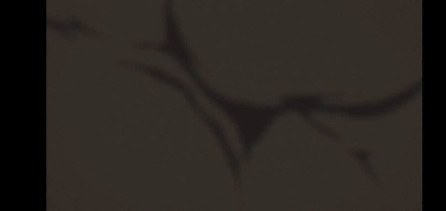 [깐프의 프리렌] 크발의 위대한 업적 (GIF)_208.jpg