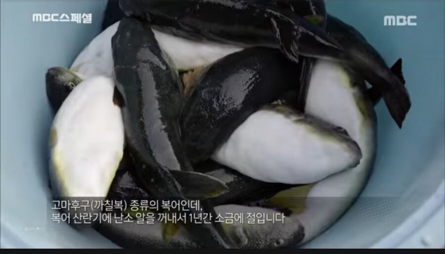 '먹어도 안 죽긴 하는데 왜 안죽는지는 몰라요'_2.jpg