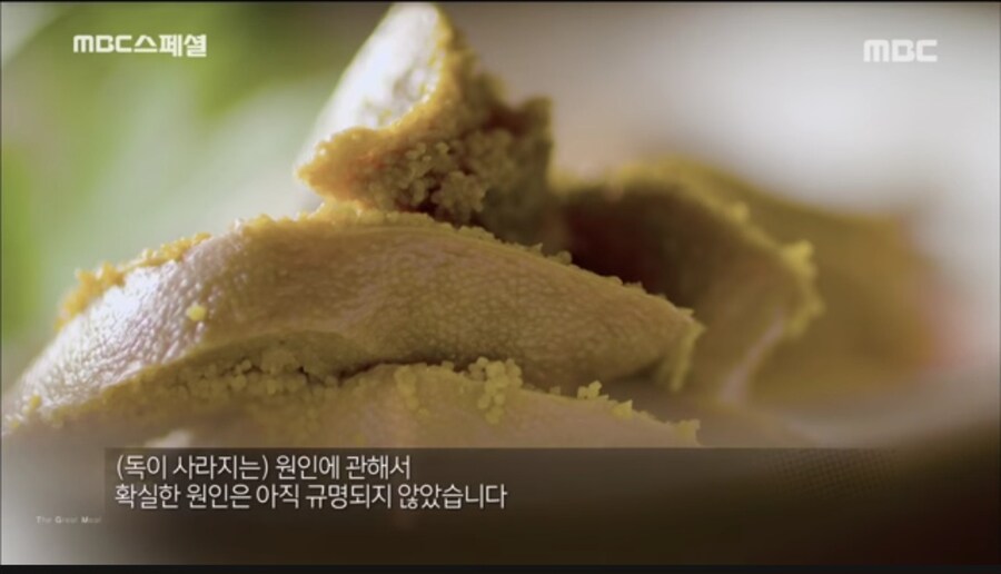 '먹어도 안 죽긴 하는데 왜 안죽는지는 몰라요'_3.jpg