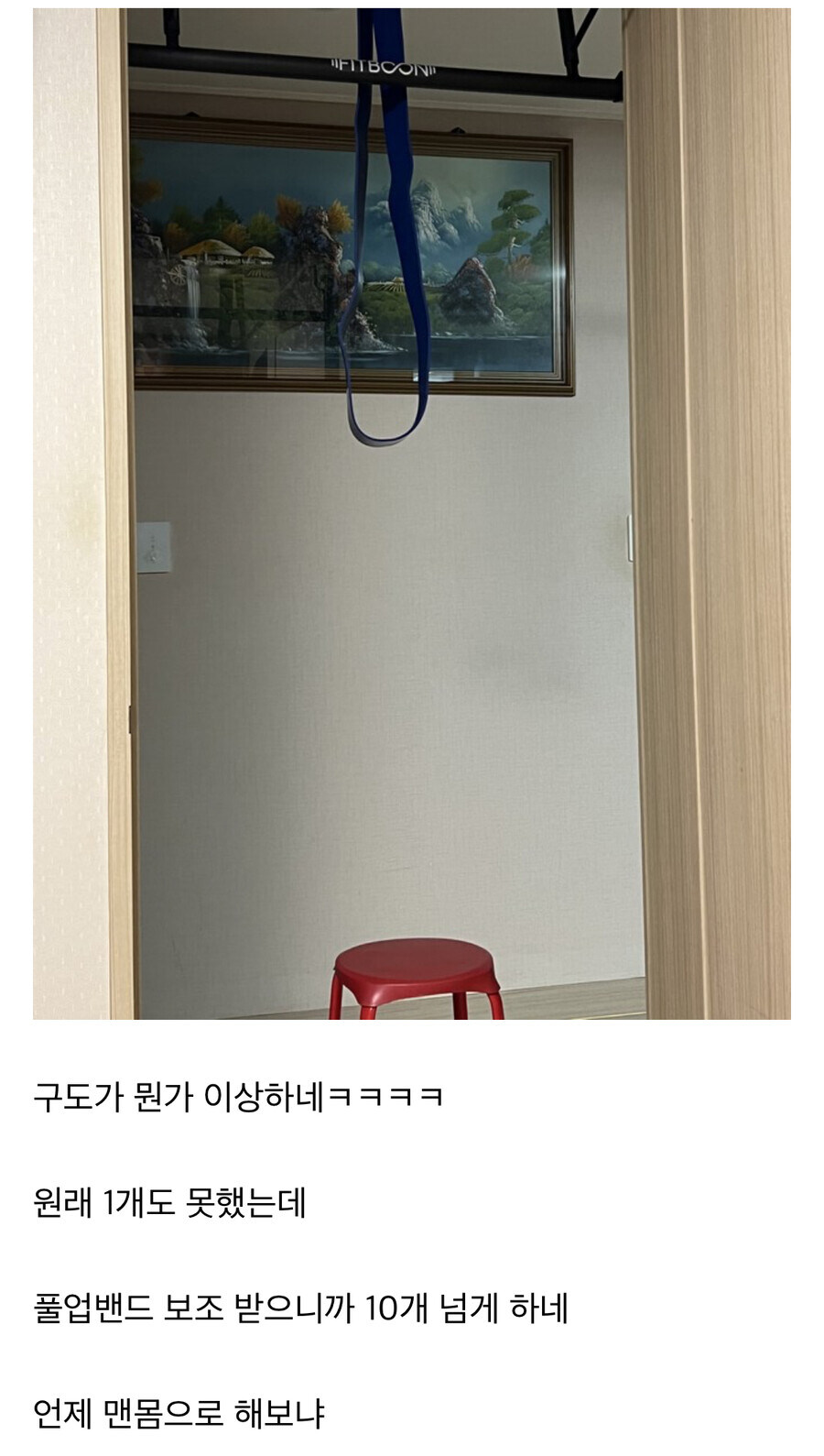 집에서 턱걸이 운동한다는 사람.jpg_1.jpg