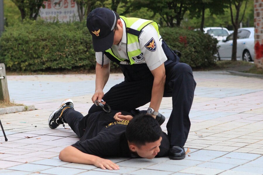 전설의 경찰 추격 짤의 진실_2.jpg