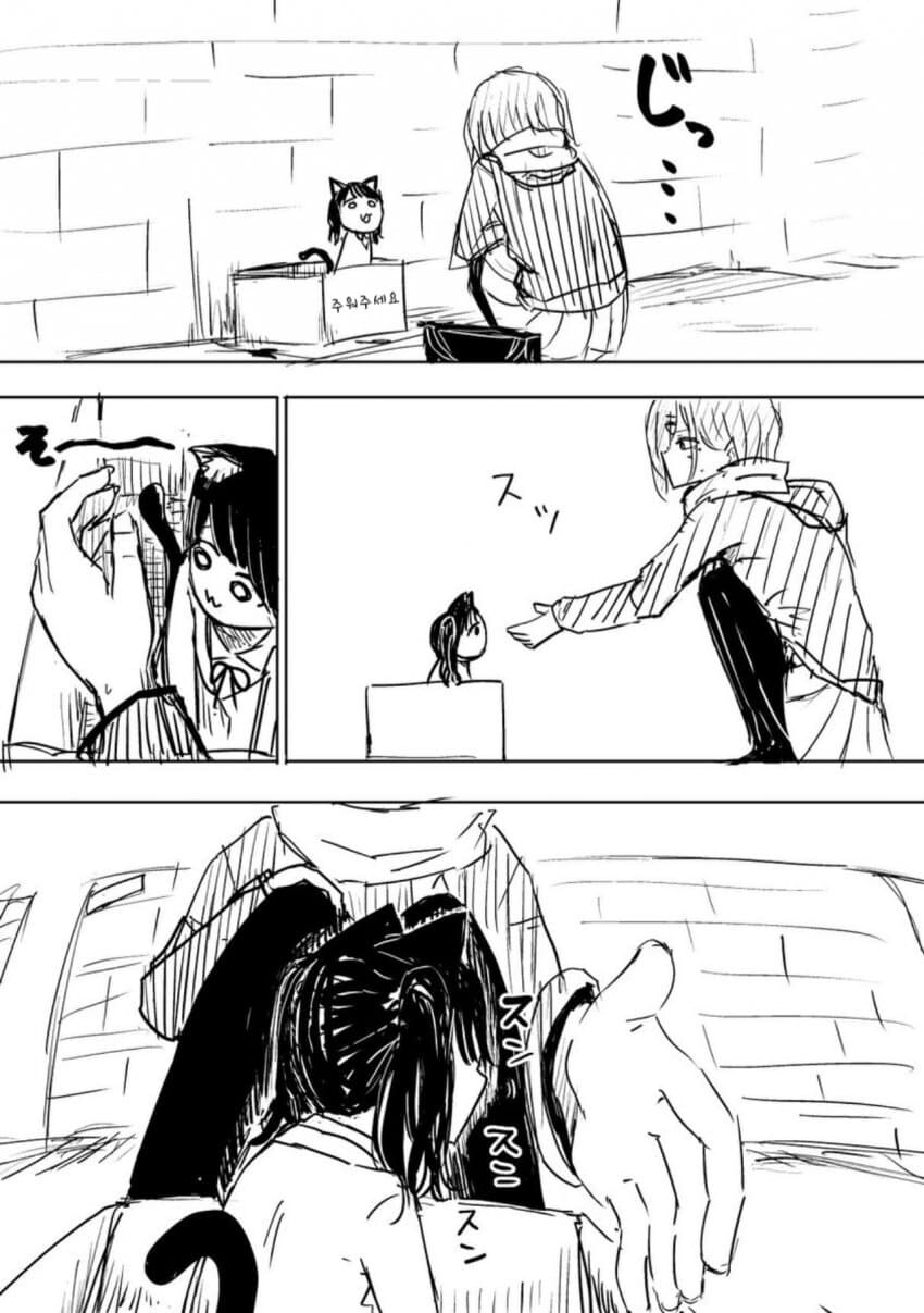 @) 고양이 코이토를 주운 마도카 만화_3.jpg