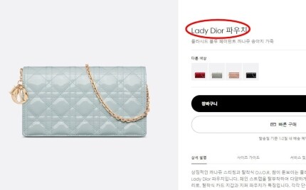 김건희 여사 파우치vs명품백, 실제 모델명 살펴보니_1.jpg