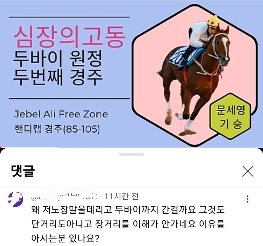 한국 경마 볼때 한숨 나오는 부류._1.jpg