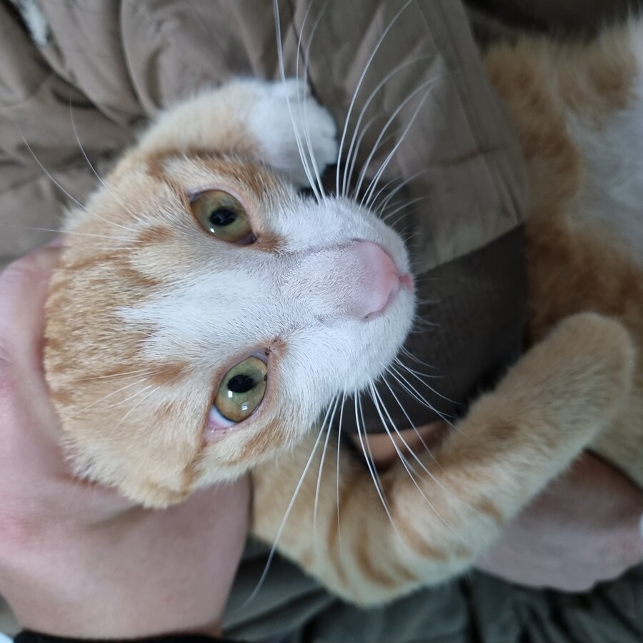 ㅈ냥이 컷!_7.jpg