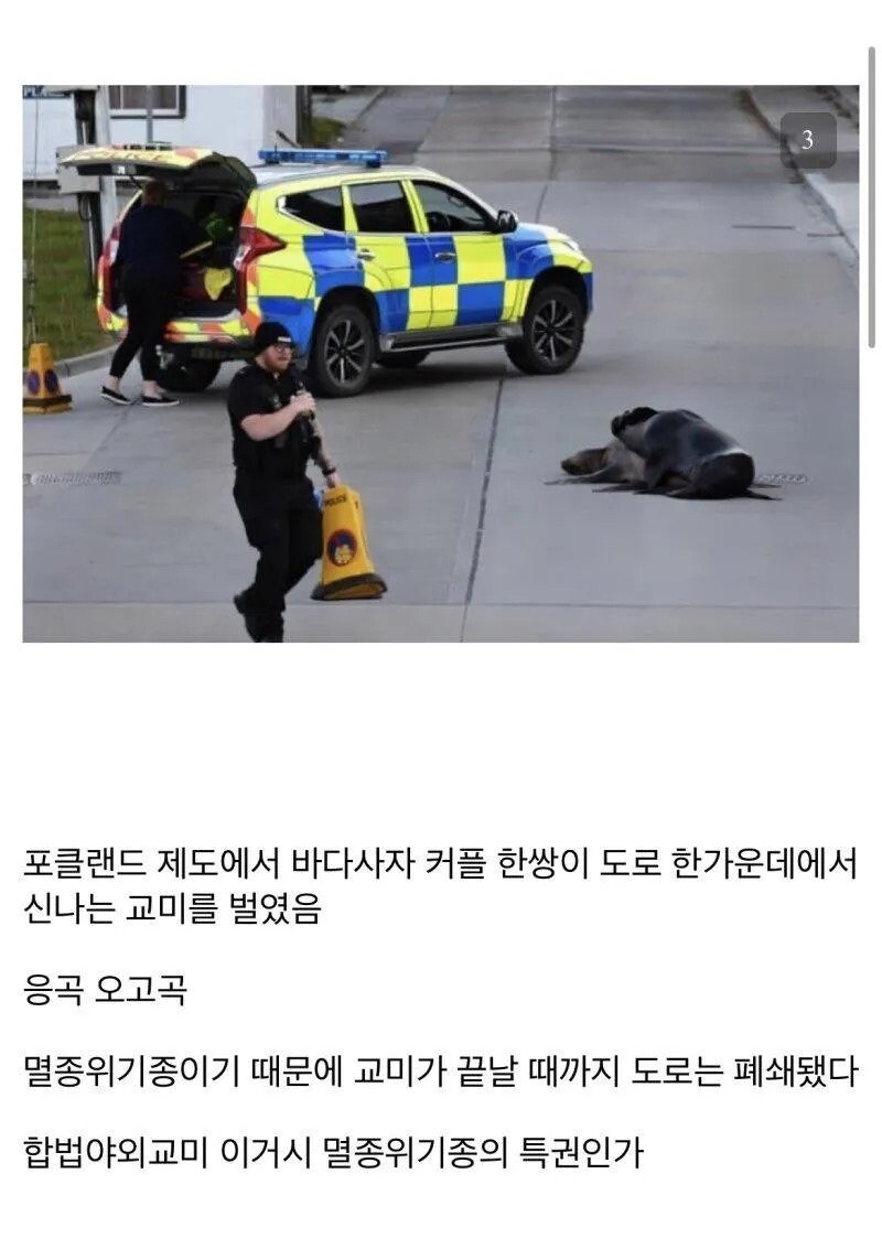 멸종위기종만이 가질수 있는 특권_1.jpg