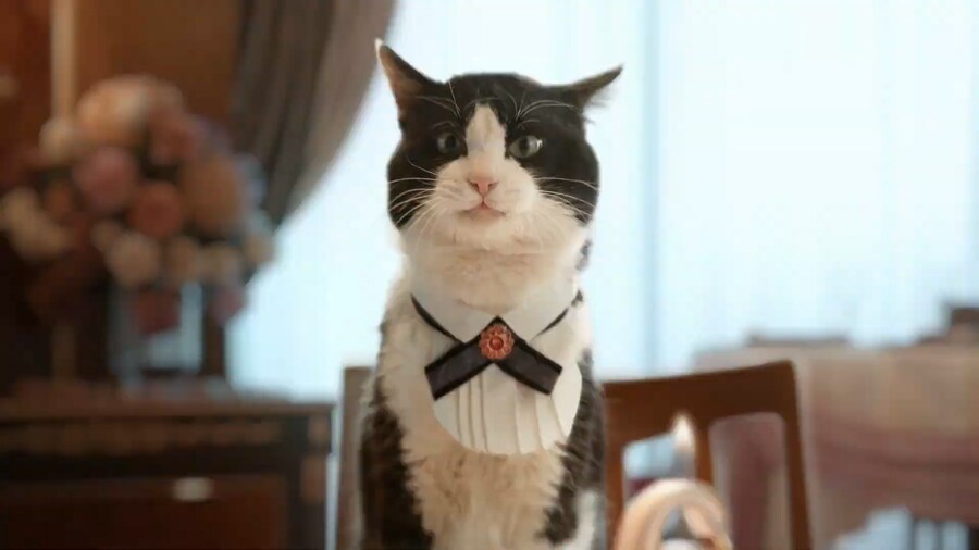 프리코네) 6주년 cm 미쳤냐 ㅋㅋㅋㅋ_1.png