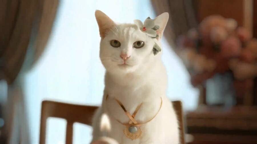 프리코네) 6주년 cm 미쳤냐 ㅋㅋㅋㅋ_2.png