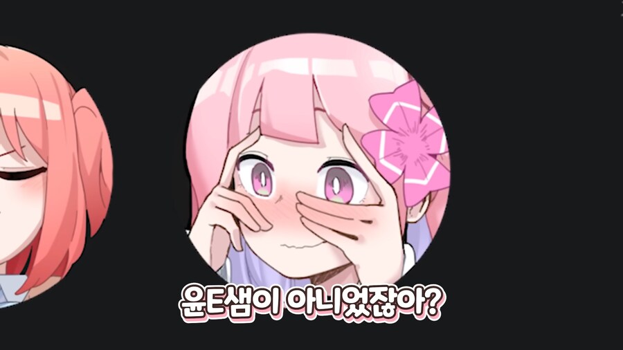 인방) 가슴 크기 때문에 오해를 받는 스트리머_6.png