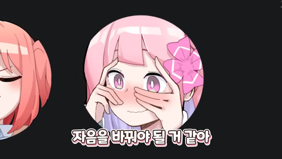 인방) 가슴 크기 때문에 오해를 받는 스트리머_7.png