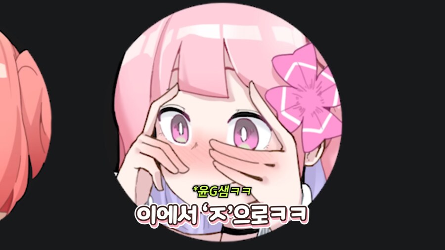 인방) 가슴 크기 때문에 오해를 받는 스트리머_8.png